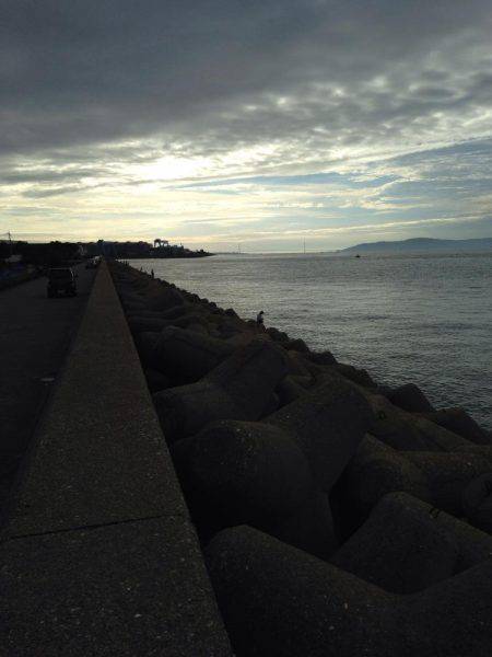 本荘サゴシ調査