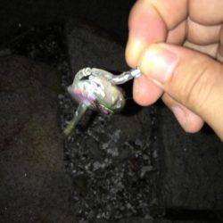 NEWリールアジング！