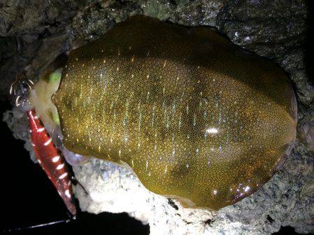 激ウネリエギング