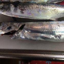 マイポイントで朝練