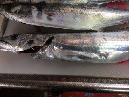 マイポイントで朝練