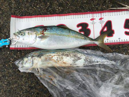 ひさしぶりの遠征