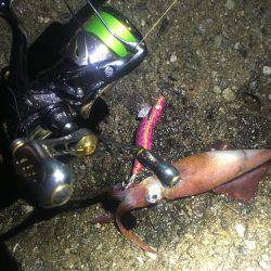 雨でも釣れました❗️