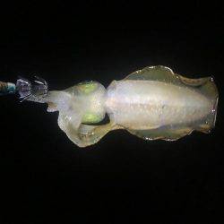 お腹いっぱい‼️