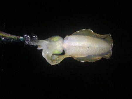 お腹いっぱい‼️