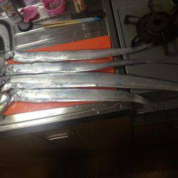 ポーアイ沖にて