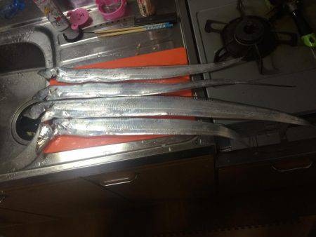 ポーアイ沖にて