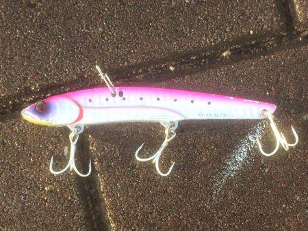 足元 サゴシ-太刀魚