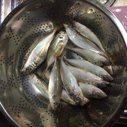 風はあったけど面白かった‼️