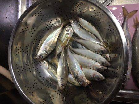 風はあったけど面白かった‼️