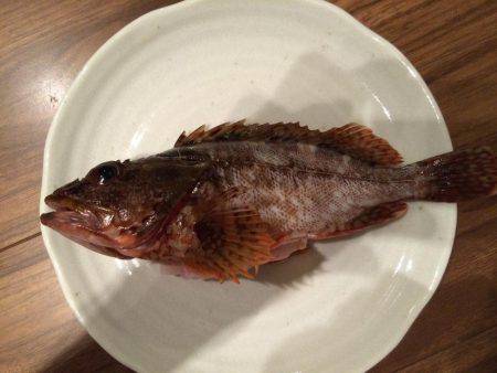 小さな高級魚 タカベ