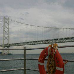 青物じゃなく底物