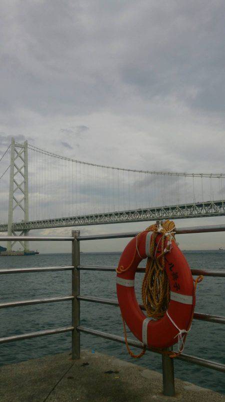 青物じゃなく底物