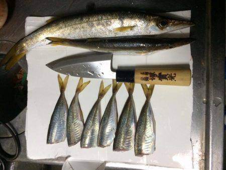 アジング＆エギング