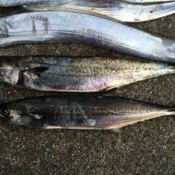 北港周辺で朝練