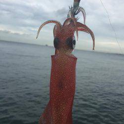 台風前にエギング