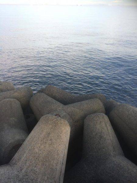 朝まずめ狙いでした