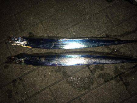 なかなかのサイズ