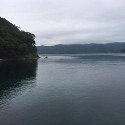 久しぶりの平日休み♪