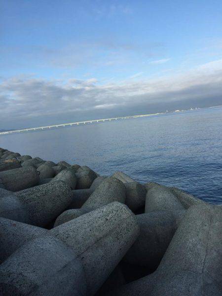 354不在につきサビキ