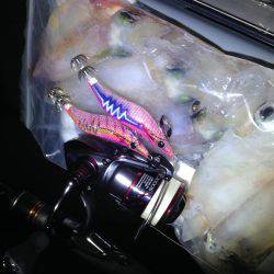 ケンサキ終盤？？