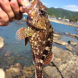 初モノばっかり！！