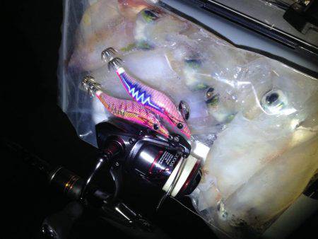 ケンサキ終盤？？