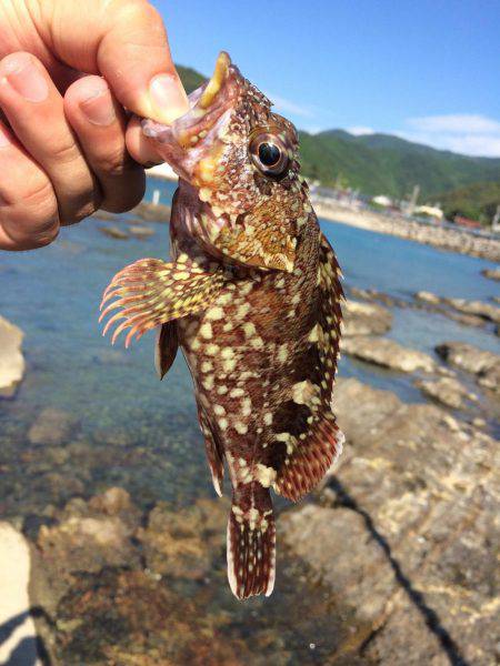 初モノばっかり！！