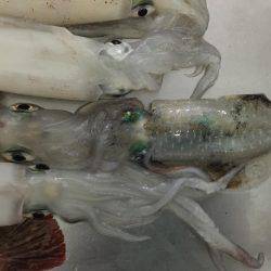 台風来るまでに