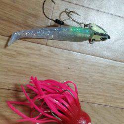 太刀魚とタコGET！！