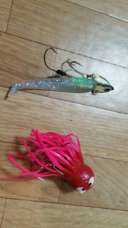 太刀魚とタコGET！！