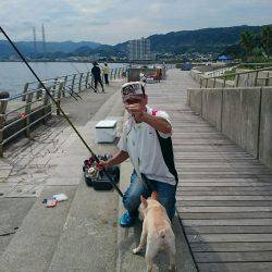 ルアーでハマチ