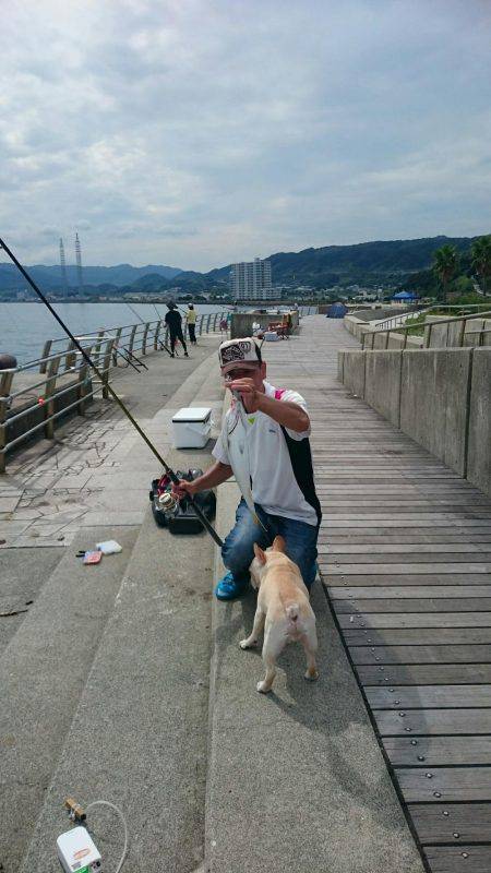 ルアーでハマチ