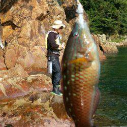 シーズン終盤？