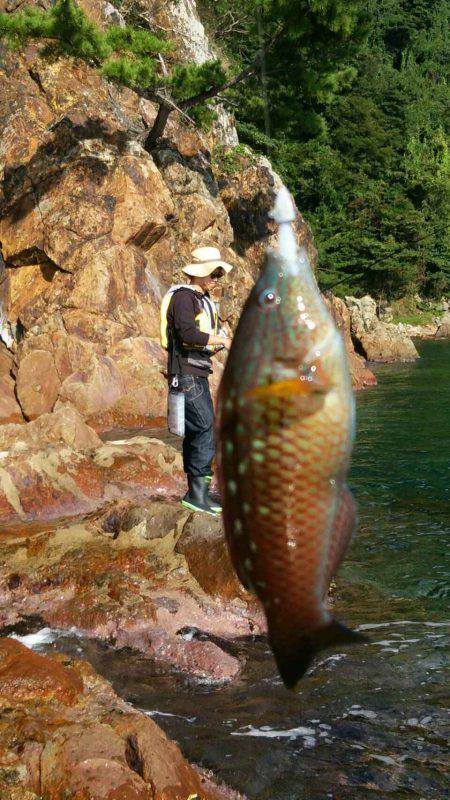 シーズン終盤？