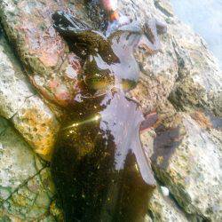 ポイントによってこんなにも･・