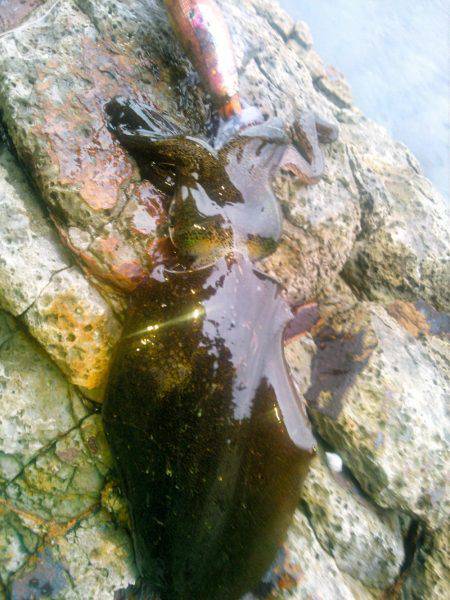 ポイントによってこんなにも･・