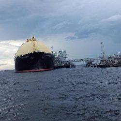 近場にも、タチウオが来たあ!