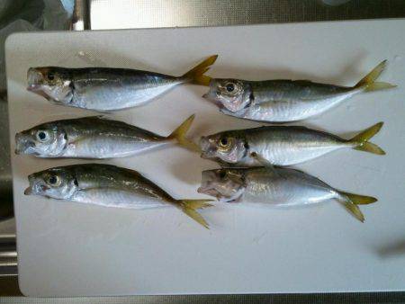 想い出の地、初島へ