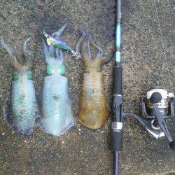 曇りのち雨時々大雨