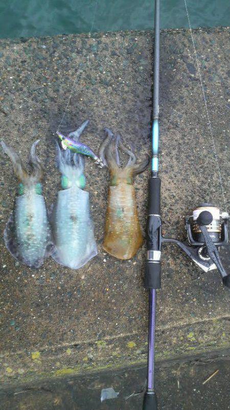 曇りのち雨時々大雨