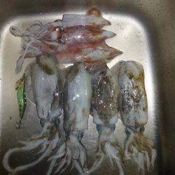 激渋からの・・・