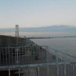 早朝～ウキ釣りでタチウオ調査