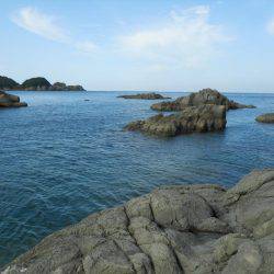 磯でアオリイカのヤエン釣り