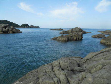 磯でアオリイカのヤエン釣り