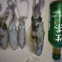 波高、早々撤退。