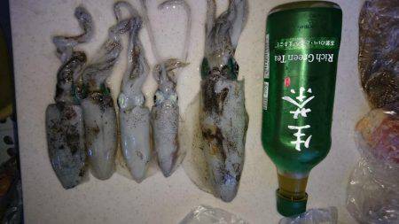 波高、早々撤退。