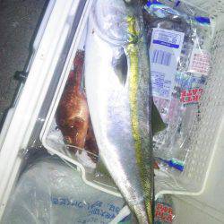 ゴムボートティップラン