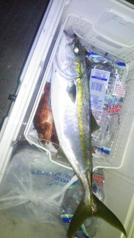 ゴムボートティップラン