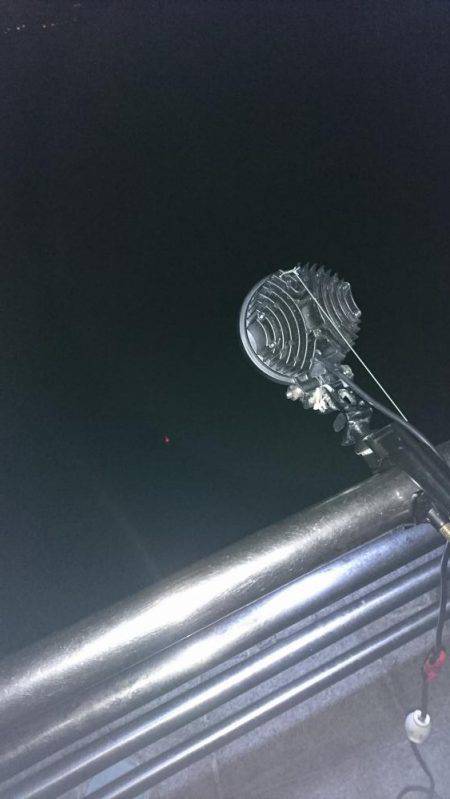 夜サビキで小アジと中サバ